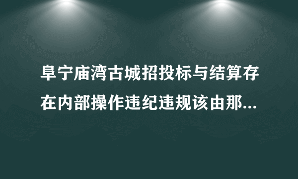 阜宁庙湾古城招投标与结算存在内部操作违纪违规该由那个部门管