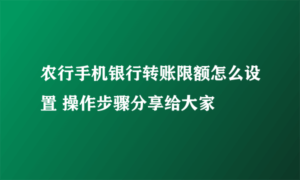 农行手机银行转账限额怎么设置 操作步骤分享给大家