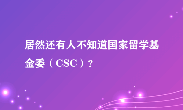 居然还有人不知道国家留学基金委（CSC）？