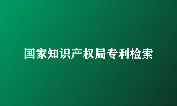 国家知识产权局专利检索