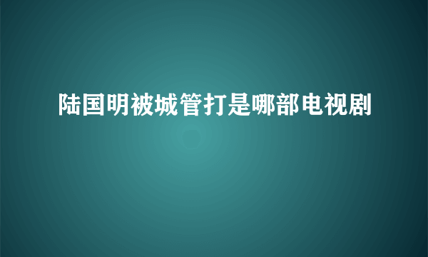 陆国明被城管打是哪部电视剧