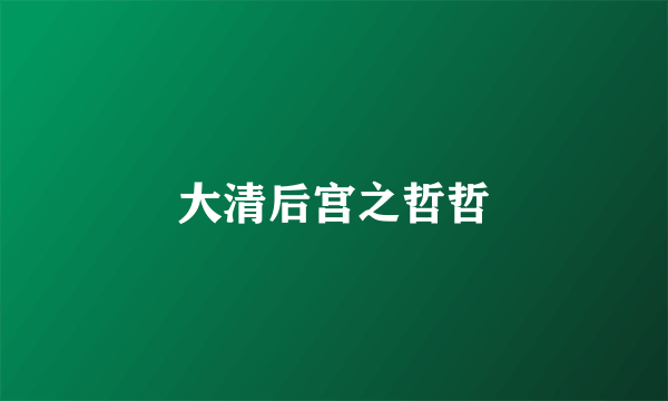 大清后宫之哲哲