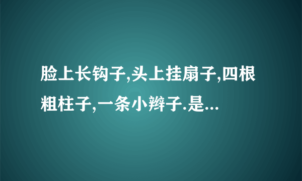 脸上长钩子,头上挂扇子,四根粗柱子,一条小辫子.是什么动物?