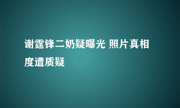 谢霆锋二奶疑曝光 照片真相度遭质疑