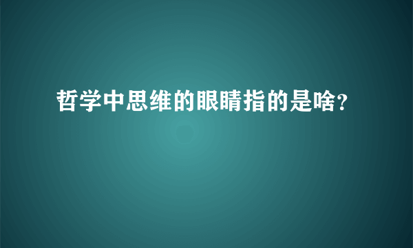 哲学中思维的眼睛指的是啥？