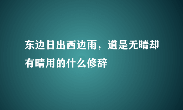 东边日出西边雨，道是无晴却有晴用的什么修辞