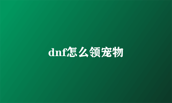 dnf怎么领宠物