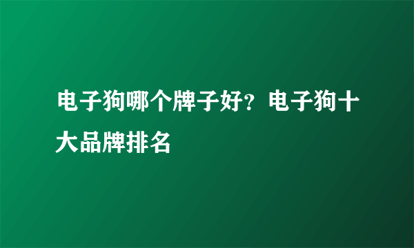 电子狗哪个牌子好？电子狗十大品牌排名