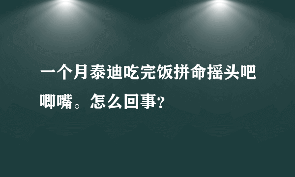 一个月泰迪吃完饭拼命摇头吧唧嘴。怎么回事？