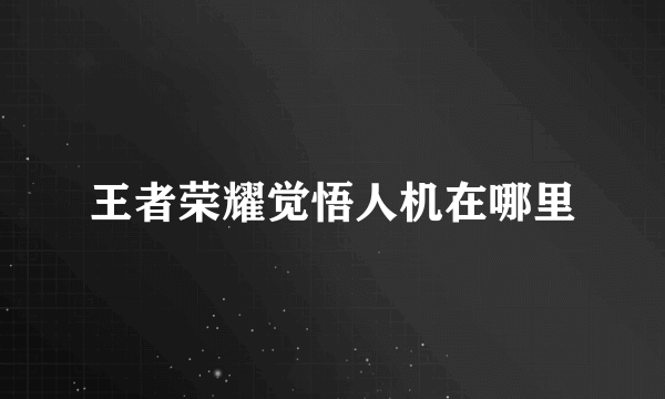 王者荣耀觉悟人机在哪里