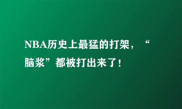 NBA历史上最猛的打架，“脑浆”都被打出来了！