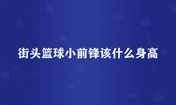 街头篮球小前锋该什么身高