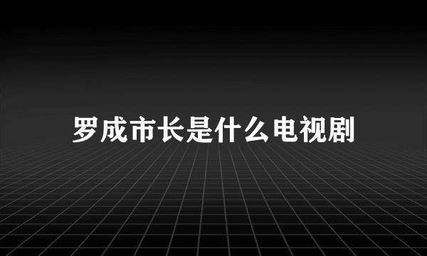 罗成市长是什么电视剧