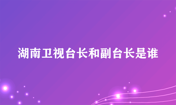 湖南卫视台长和副台长是谁