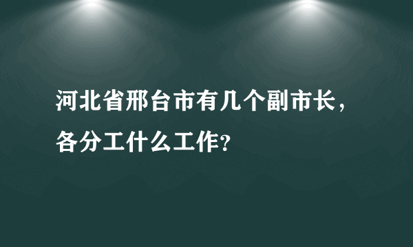 河北省邢台市有几个副市长，各分工什么工作？