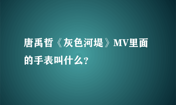 唐禹哲《灰色河堤》MV里面的手表叫什么？