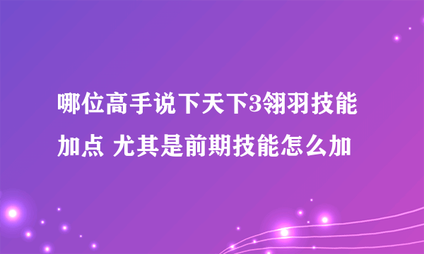 哪位高手说下天下3翎羽技能加点 尤其是前期技能怎么加