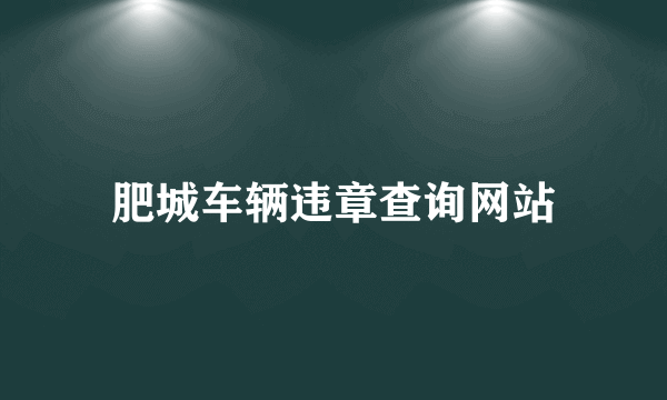 肥城车辆违章查询网站