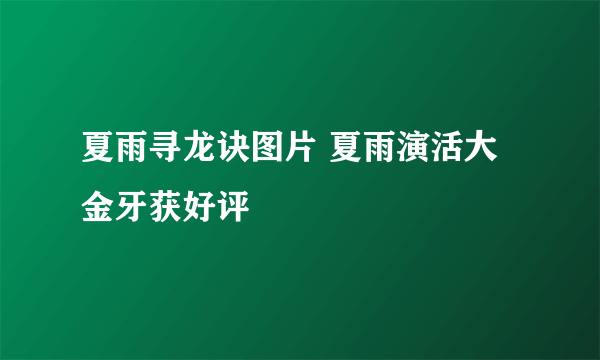 夏雨寻龙诀图片 夏雨演活大金牙获好评