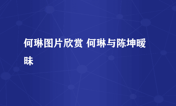 何琳图片欣赏 何琳与陈坤暧昧