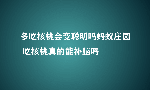 多吃核桃会变聪明吗蚂蚁庄园 吃核桃真的能补脑吗