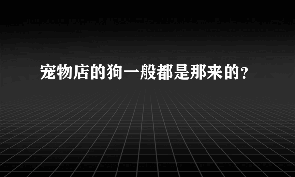 宠物店的狗一般都是那来的？