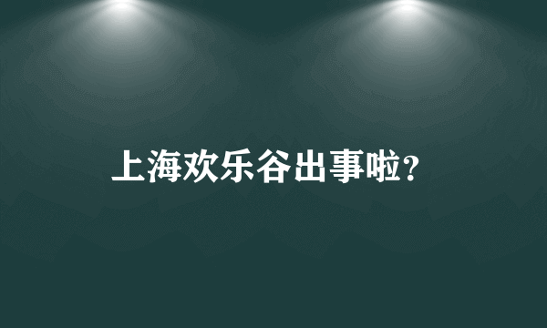 上海欢乐谷出事啦？