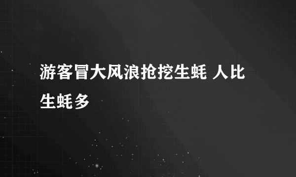 游客冒大风浪抢挖生蚝 人比生蚝多