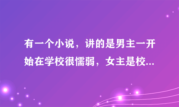 有一个小说，讲的是男主一开始在学校很懦弱，女主是校花，一开始欺负男主，后来成了男主女朋友。好几年的？