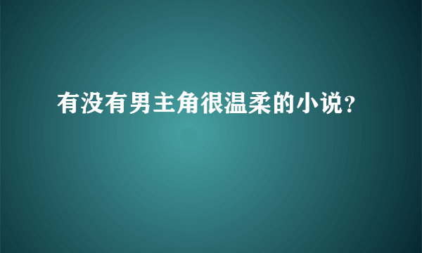 有没有男主角很温柔的小说？