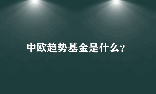 中欧趋势基金是什么？