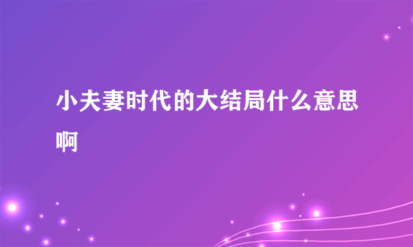 小夫妻时代的大结局什么意思啊