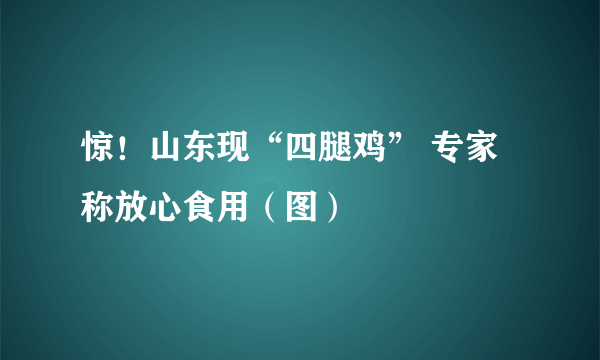 惊！山东现“四腿鸡” 专家称放心食用（图）