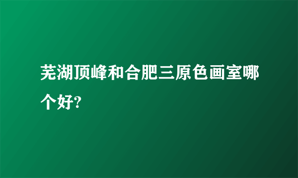 芜湖顶峰和合肥三原色画室哪个好?