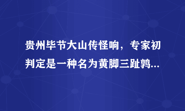 贵州毕节大山传怪响，专家初判定是一种名为黄脚三趾鹑的鸟类发出？