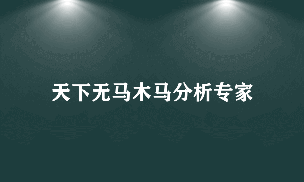 天下无马木马分析专家