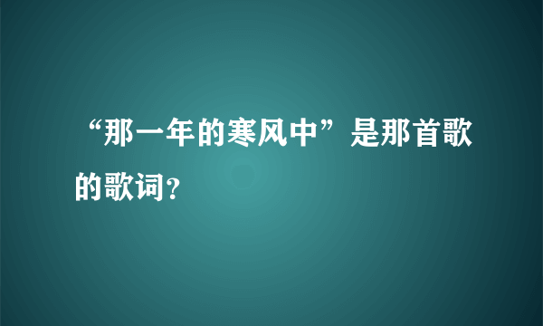 “那一年的寒风中”是那首歌的歌词？