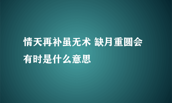 情天再补虽无术 缺月重圆会有时是什么意思