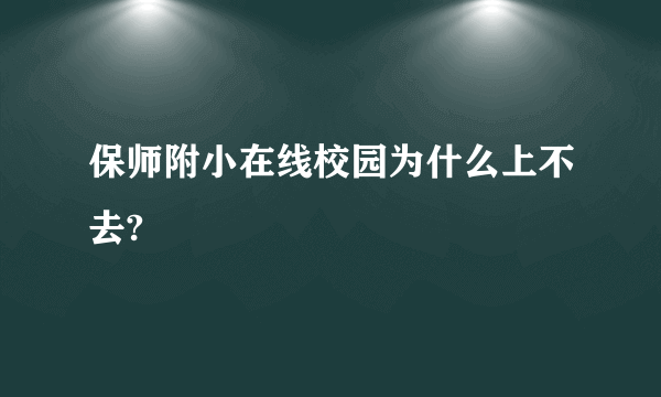 保师附小在线校园为什么上不去?