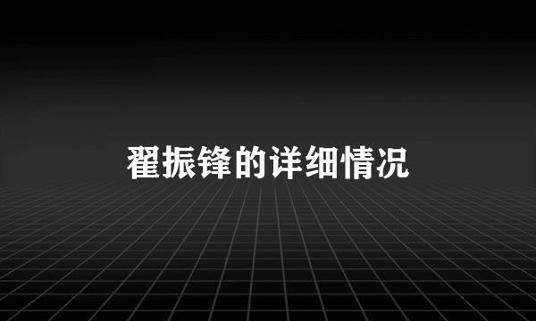 翟振锋的详细情况