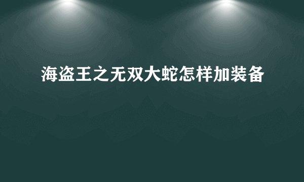 海盗王之无双大蛇怎样加装备