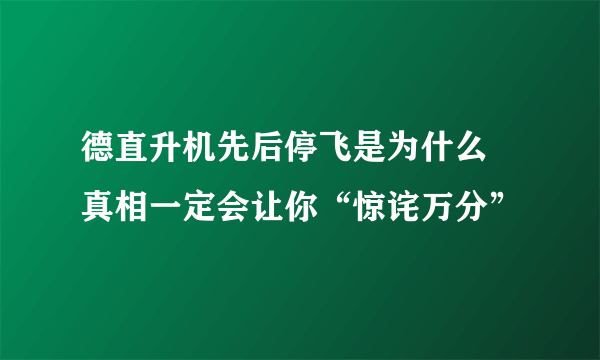 德直升机先后停飞是为什么 真相一定会让你“惊诧万分”