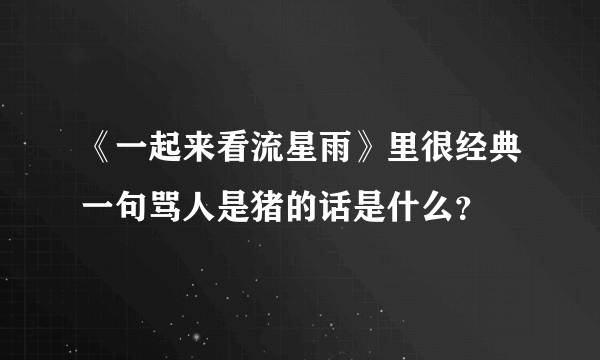 《一起来看流星雨》里很经典一句骂人是猪的话是什么？