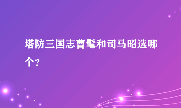 塔防三国志曹髦和司马昭选哪个？