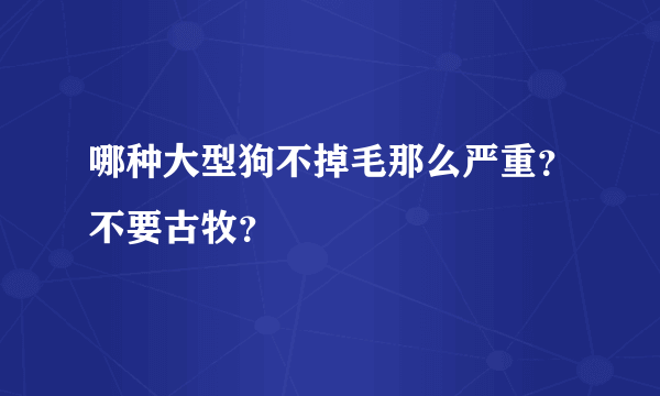 哪种大型狗不掉毛那么严重？不要古牧？