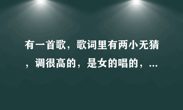 有一首歌，歌词里有两小无猜，调很高的，是女的唱的，请问是什么歌？