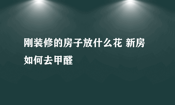 刚装修的房子放什么花 新房如何去甲醛