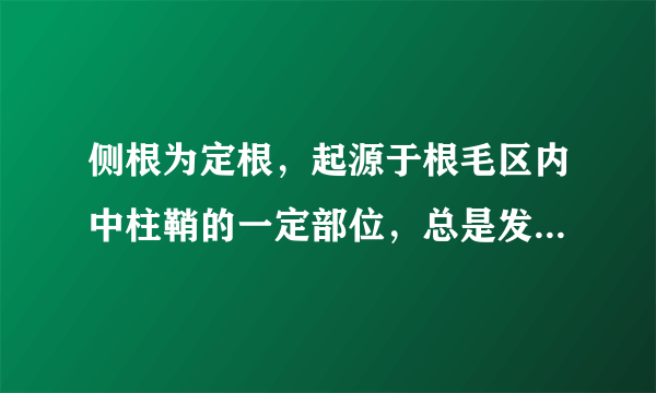 侧根为定根，起源于根毛区内中柱鞘的一定部位，总是发生于原生木质部与原生韧皮部之间的地方。()