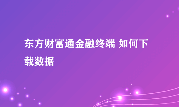 东方财富通金融终端 如何下载数据