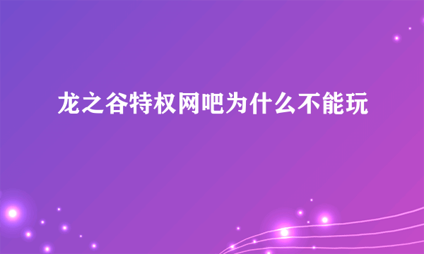 龙之谷特权网吧为什么不能玩